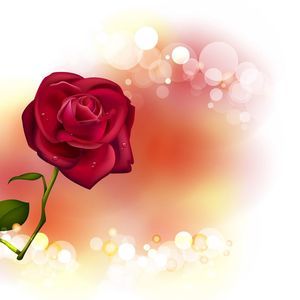 Meet your Posher, Jane